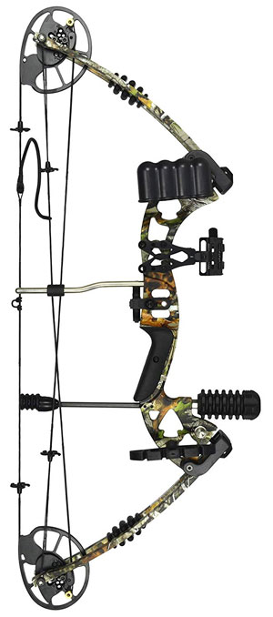 types of bows compound bow