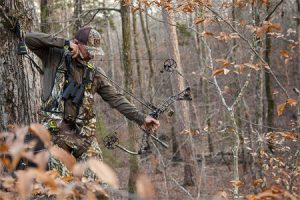 What’s the Best Treestand Harness for Bow Hunting of 2024?