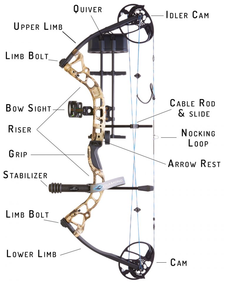 Arrow Chart For Compound Bows